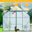 Serre en polycarbonate-112389340-112389339
