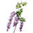 Lavender selected