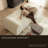 Modular Corner Unit-1184064206