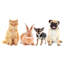 Litière standard en plastique Babbie-1325608787-1331623972