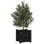 Alasiah Wood Planter Box-1696373215-1696373204