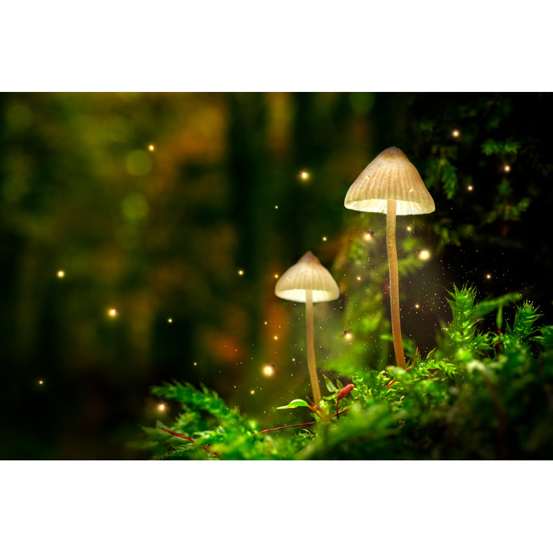 Mushroom Lamps - Wrapped Canvas Print, 30cm H x 46cm W x 3.8 cm D