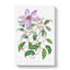 Violet Clematis Flowers - Wrapped Canvas-55370149