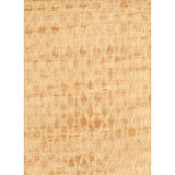 Wernher Hand Woven Cotton and Wool Area Rug