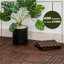 30cm L x 30cm W Solid Wood Interlocking Deck Deck Tile Kit-1773244038