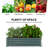 Galvanized Raised Garden Bed, 4' X 4' X 1' Metal Planter Box, For Growing Vegetables, Flowers, Herbs, Succulents, Green-210988212