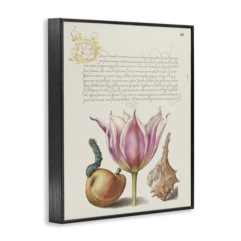«Flower & Bug Study», estampe numérique par June Erica Vess, Giclée encadrée noir minuit, H 14 po x l 11 po