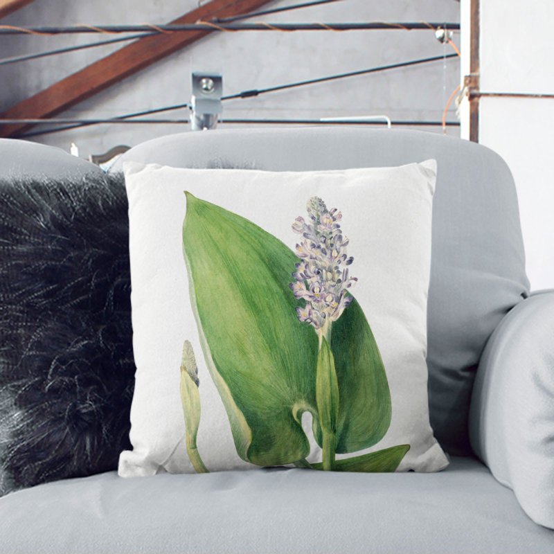 Pickerelweed By Mary Vaux Walcott Square Throw Cushion, 55cm H x 55cm W x 20cm D