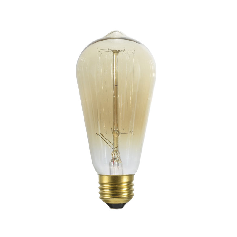 40 watt, ampoule s19 incandescente, non-dimm, (2200k) e26/moyen (standard) de base