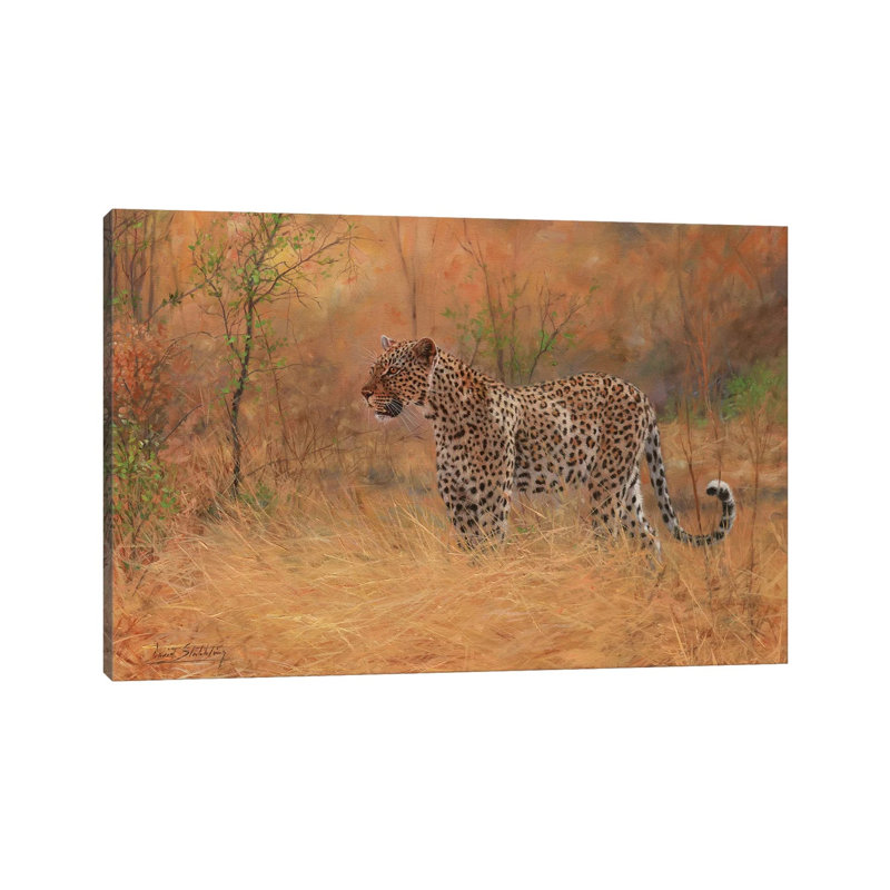 Leopard In Forest by David Stribbling - Wrapped Canvas Print, 152.5 cm H x 101.5 cm W