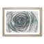 Mint Green Rose - Picture Frame Graphic Art Print-55733667-55733665