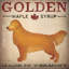 «Golden Maple Syrup», impression sur toile tendue-74758465-74758453-74758455