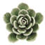 Fleur de désert en céramique Arciniega-860255304-860255305