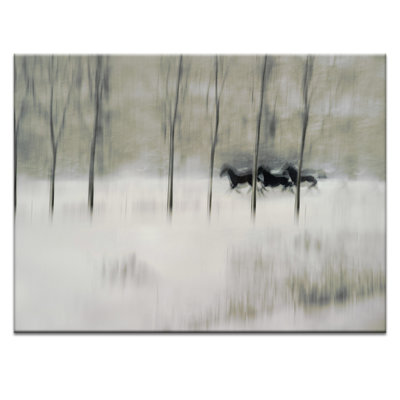 Print on Canvas