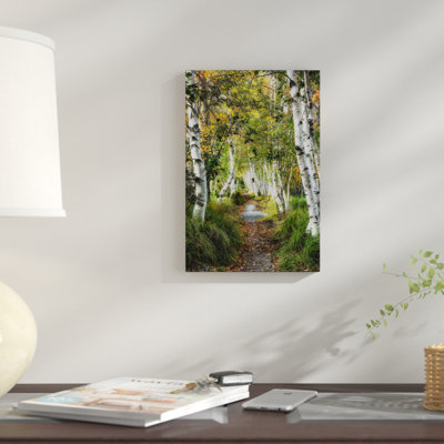 « bouleau path i », reproduction de photo sur toile