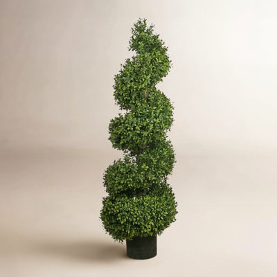 45'' Plant