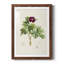 «Pretty Botanicals III», cadre photo-1776683586-1776683587