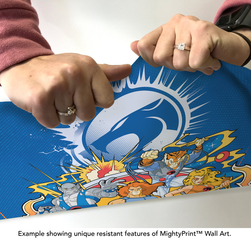 Thundercats (Group)  Wall Art
