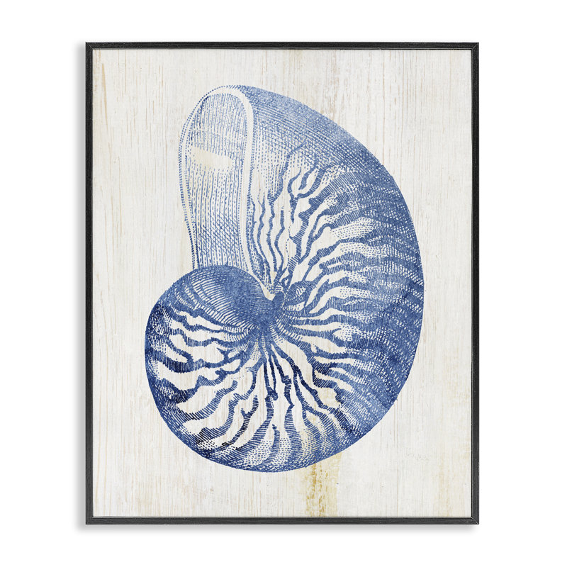 Giclée bleue encadrée Nautilus, design par Susan Arnot, H 20 po x l 16 po, Giclée encadrée noir minuit