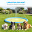 Dog Pool-129163843