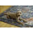 Ducote Washable Teal and Rust Machine Woven Area Rug-822375185