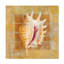 Art sur toile Danhui Nai Seashell II-105718771