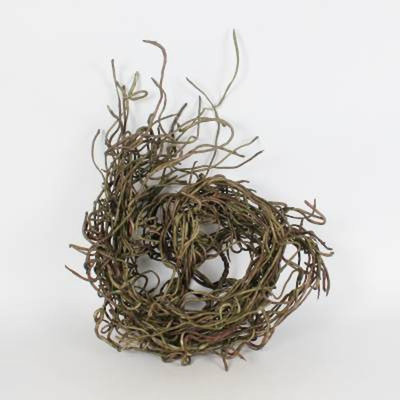 Sculpture branches Zackery