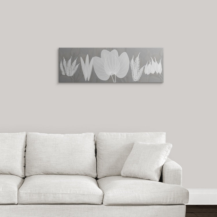 Manigault «Beauty X-Ray» par Kiranjit, reproduction de photo, H 16 po x l 48 po x P 1,5 po, Toile
