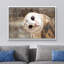«Bird Bird Curious Owl Look» (Tyto Albahead), tête en gros plan sur toile-119598468-93629223-93629224
