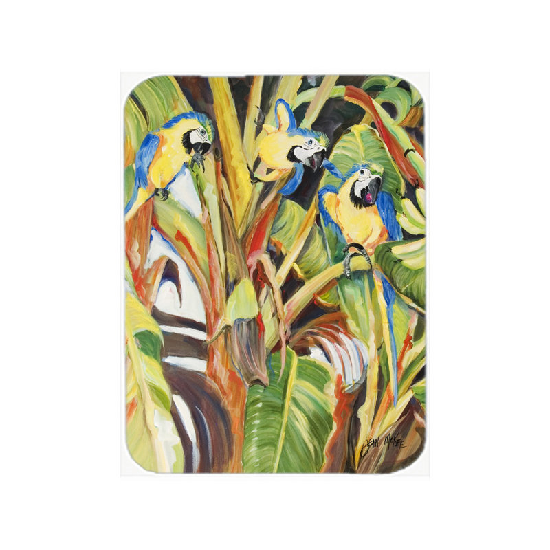 Planche à découper en verre pour perroquets Engelman Bay Isle Home