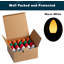 Paquet de 25 ampoules incandescentes de Noël de remplacement C7, ampoules incandescentes incassables pour guirlandes de Noël intérieures et extérieures, culot candélabre E12, ampoules des Fêtes-134044898