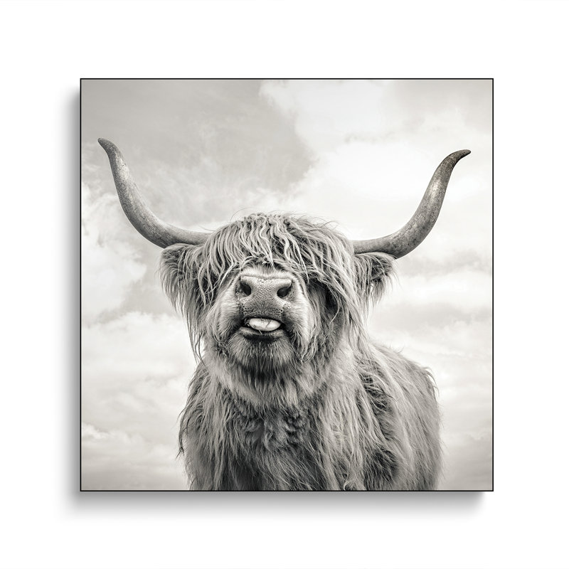 Steelpix Metal Canvas -  Funny Girl By Mark Gemmell Wall Art Print