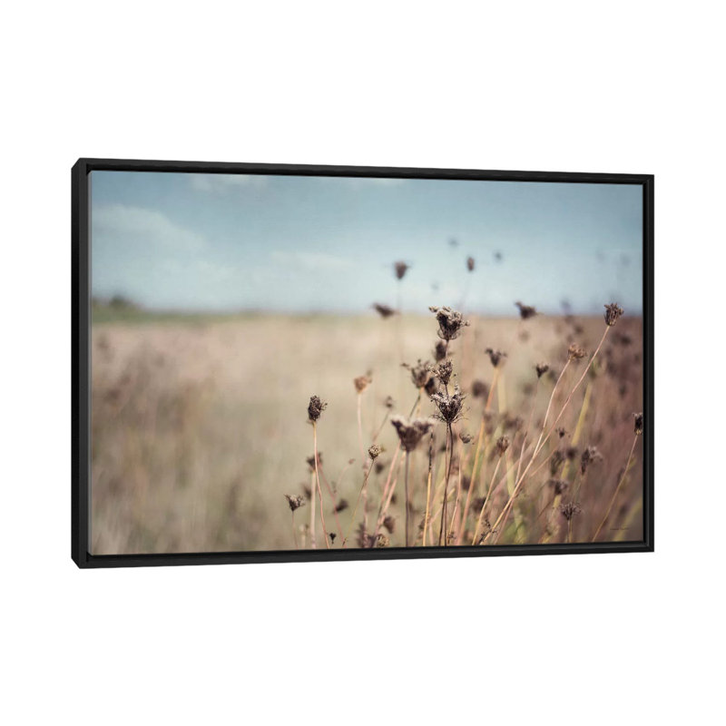« automne reine anne dentelle i », reproduction de photo sur toile tendue, H 18 po x l 26 po x P 1,5 po, Pas de tapis
