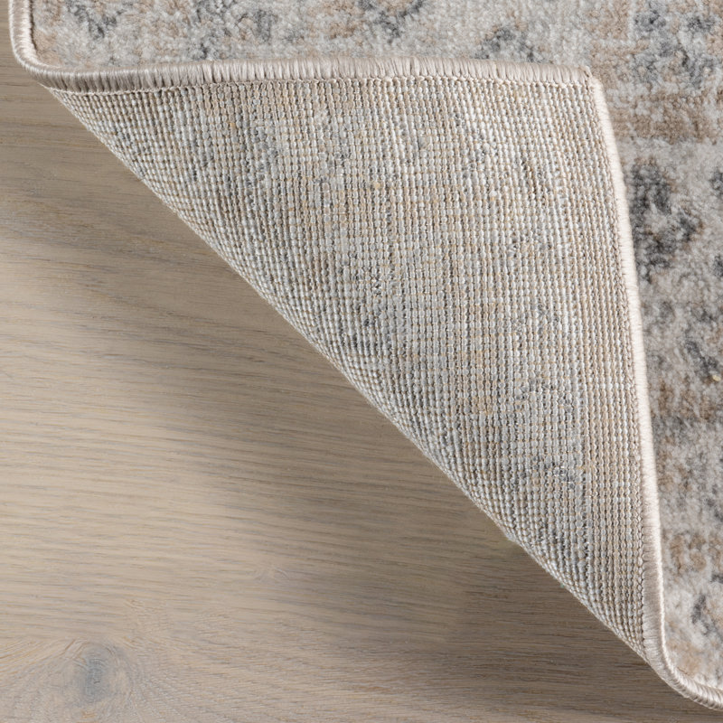 Halltown Tradtional Vintage Area Rug, Rectangle 10' x 14'