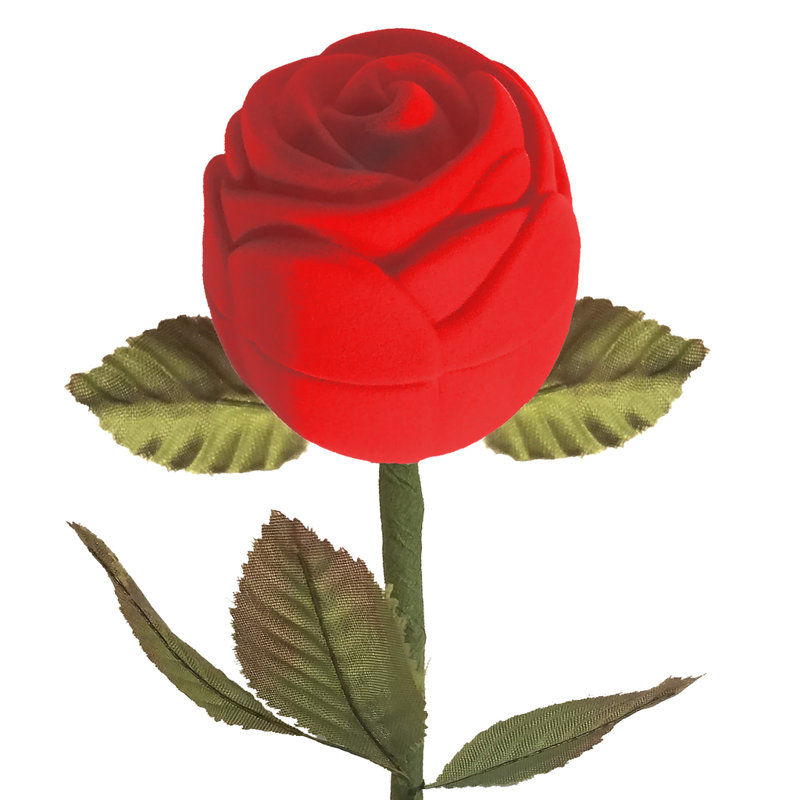 Red Velour Long Stem Rose Gift Box In Presentation Box Ring C59B1D2BC0DE4CD685FF09CCC26EBD0C