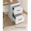 41cm Wide 2 -Drawer File Cabinet