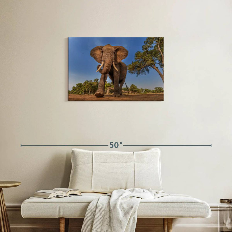 Brampt Playful African Elephant, 20" H x 30" W