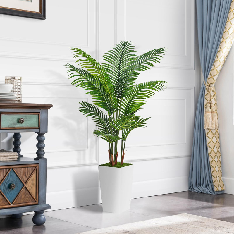 60 plantes, Blanc