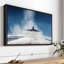 Transport "Art mural du premier avion"-101793818