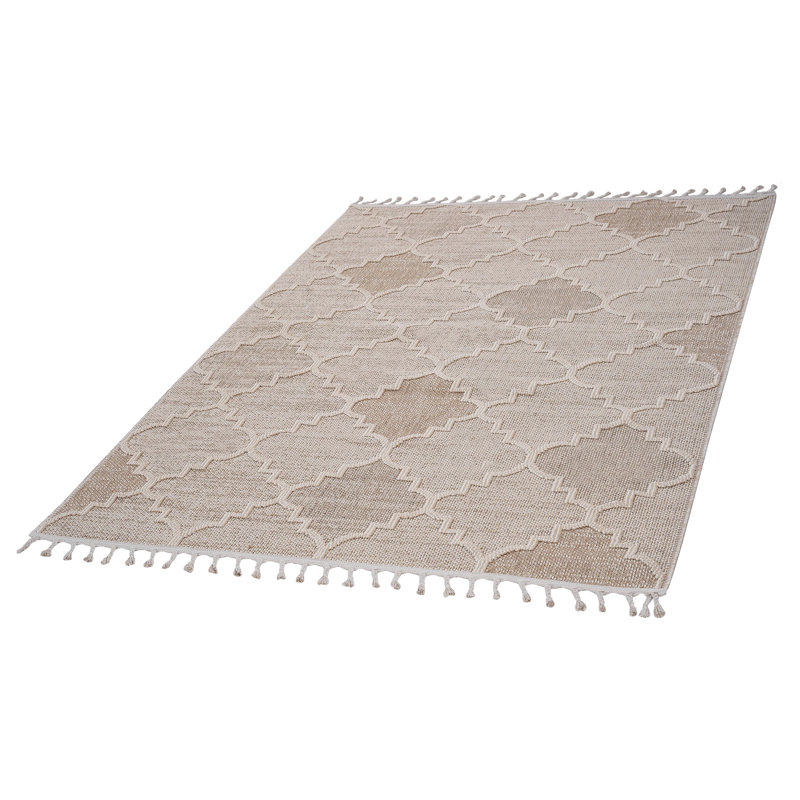Collection Trellis Indoor/Outdoor Area Rug, Rectangle 5'3" x 7'6"