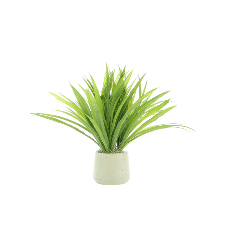 Riey Faux Grass in Fiberstone Pot