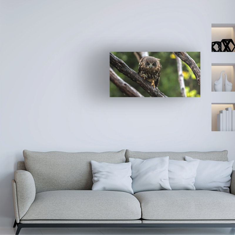 Art sur toile «bolurien», H 10 po x l 19 po