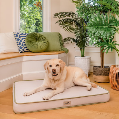 Cooling Gel Orthopedic Memory Foam Pet Bed with Washable Cover