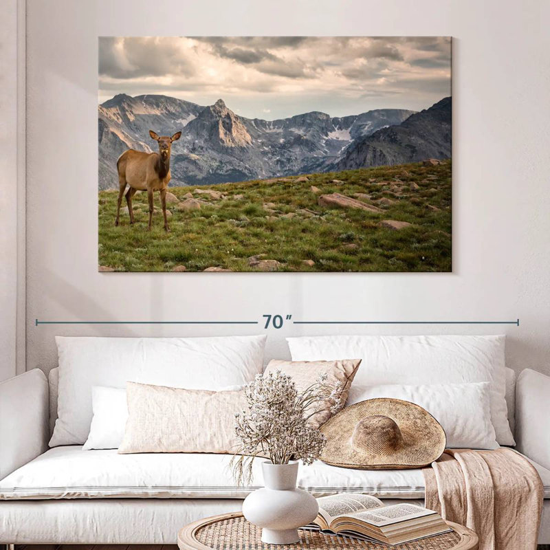 Brampt Rocky Mountain Elk, 34" H x 51" W