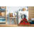 Oriental Indoor Rug-441579882