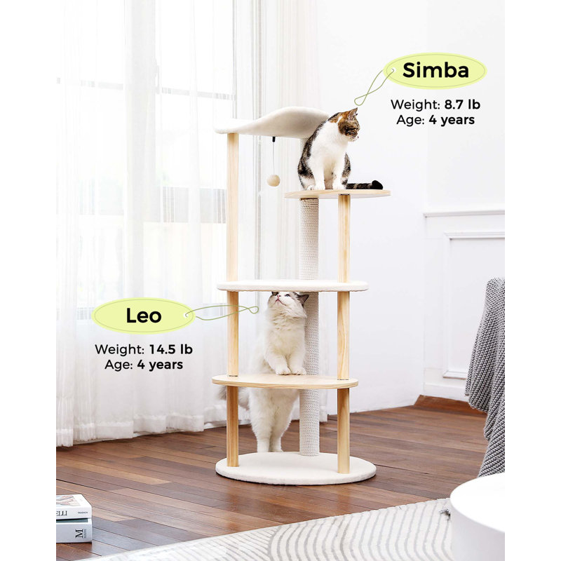 Carylann 49'' H Cat Tree