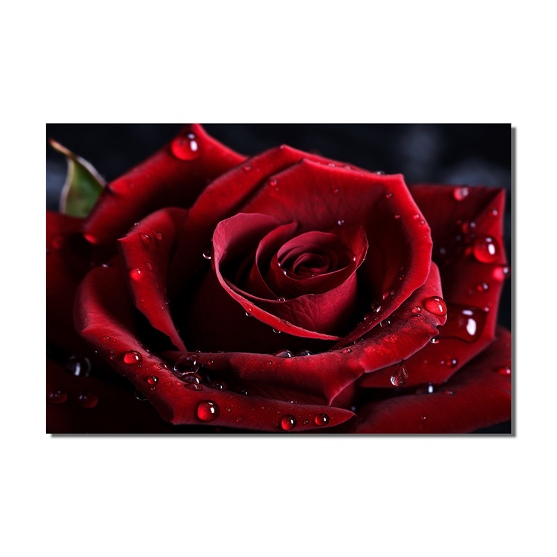 Rose rouge avec gouttes de pluie I - art mural floral