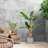 65'' Faux Banana Tree in Planter-2110567121