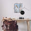«Classic Pelicans Gazing», ensemble de 2 plaques murales par Steller Design Studio