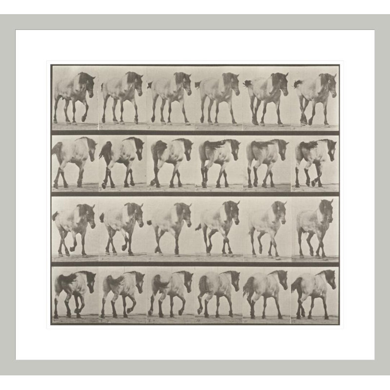 Cheval Hansel marchant librement (Animal Locomotion 1887 plaque 575) par Ead vêtementsd Muybridge - impression giclée encadrée